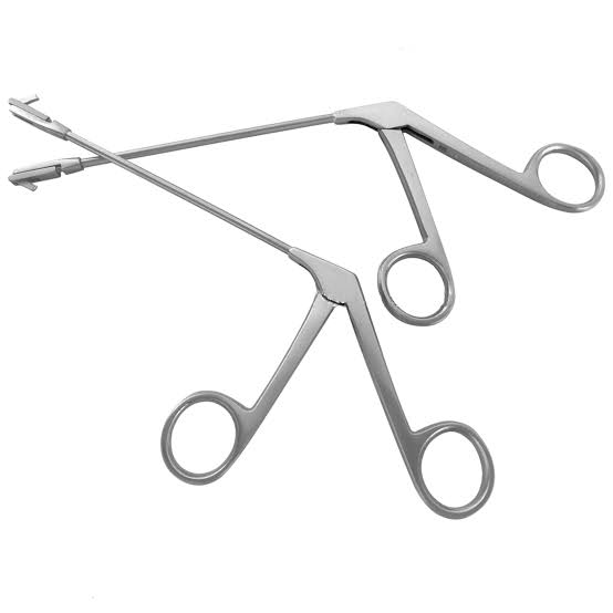 Antum punch forcep