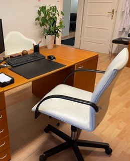 Schreibtischstuhl