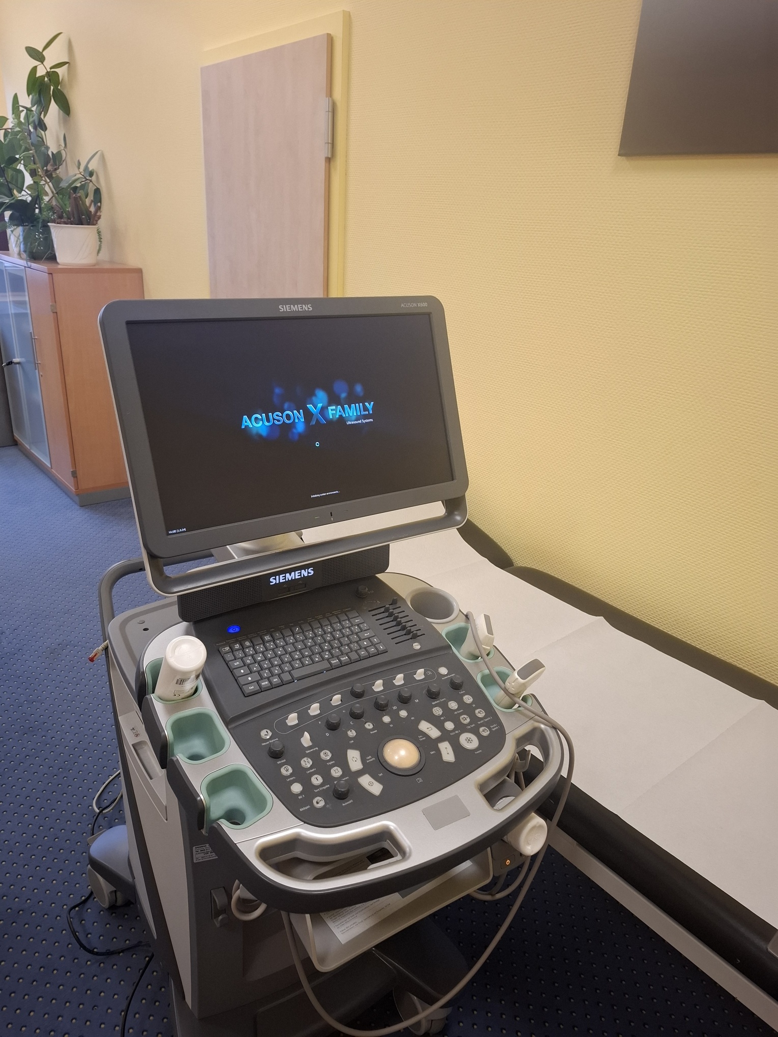 Siemens ACUSON X600