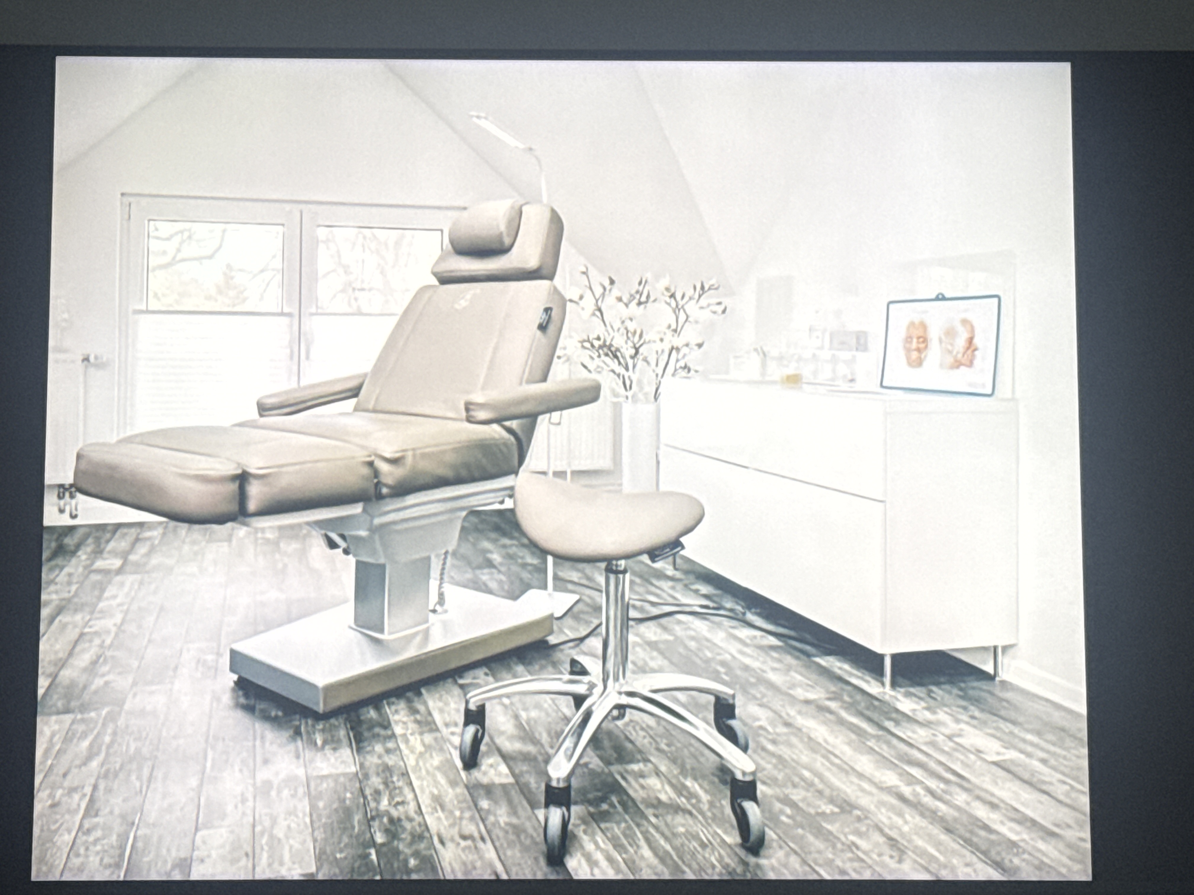 Hochwertige elektrische Behandlungs Kosmetikliege