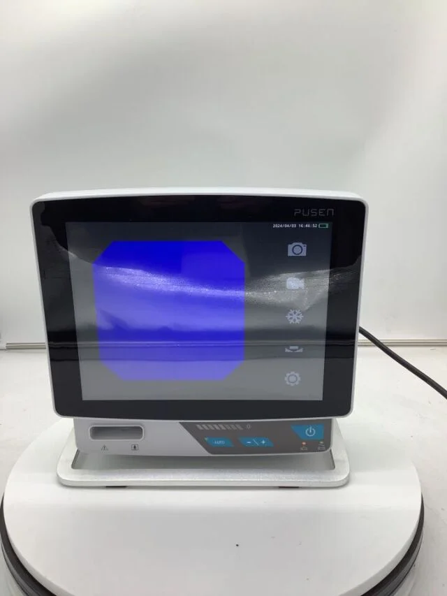 Gebraucht – Gut 2019 PUSEN UTV100