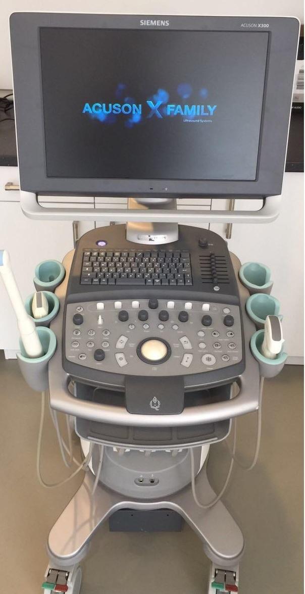 Generalüberholt 2014 SIEMENS ACUSON X300