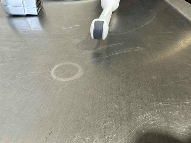 Ultraschallsonde (Mikrokonvex)