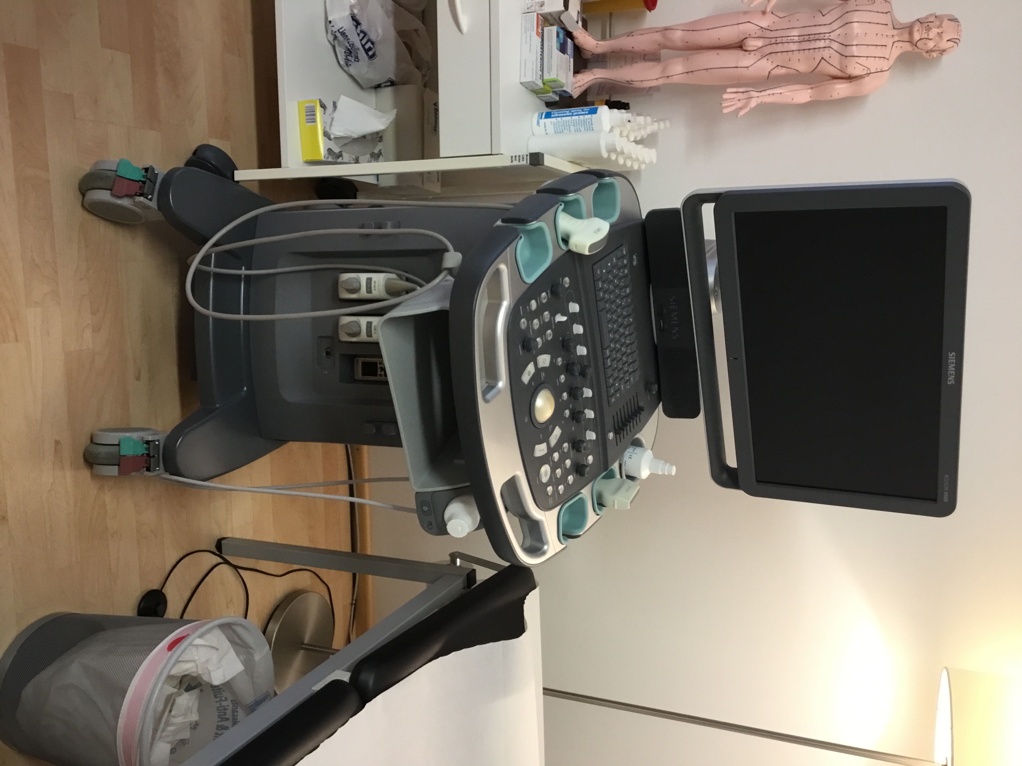 Siemens Acuson X 600 - Bild 1