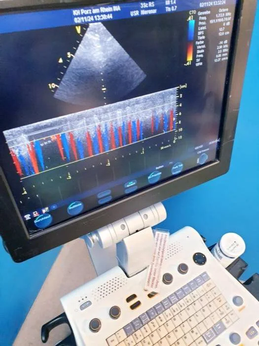 Gebraucht GE Vivid S5