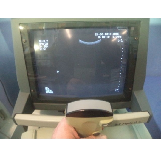 B&K MEDICAL Type 8665