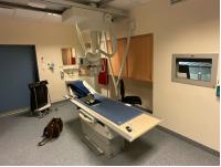 Gebraucht – Sehr Gut 2011 PHILIPS Bucky Diagnost CS