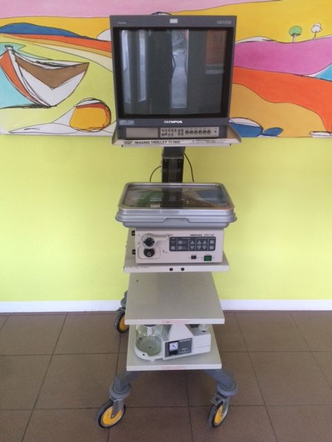 Endoskopievideosystem