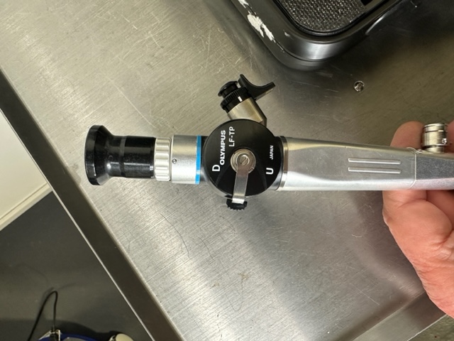 Intubationsfiberrskop