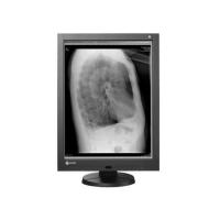 Neu EIZO RadiForce GX240