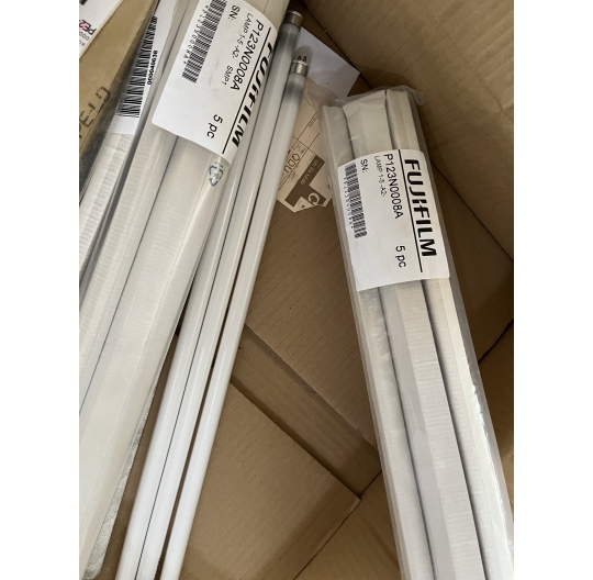 FUJI P123N0008A Lamp 1-5-A2